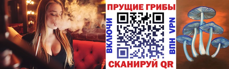 hydra сайт  хочу наркоту  Пенза  Галлюциногенные грибы прущие грибы 